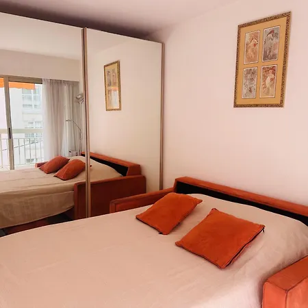 One Bedroom In The Center Of Cannes, Next To The Carlton, A Few Meters From The Croisette - 367 *